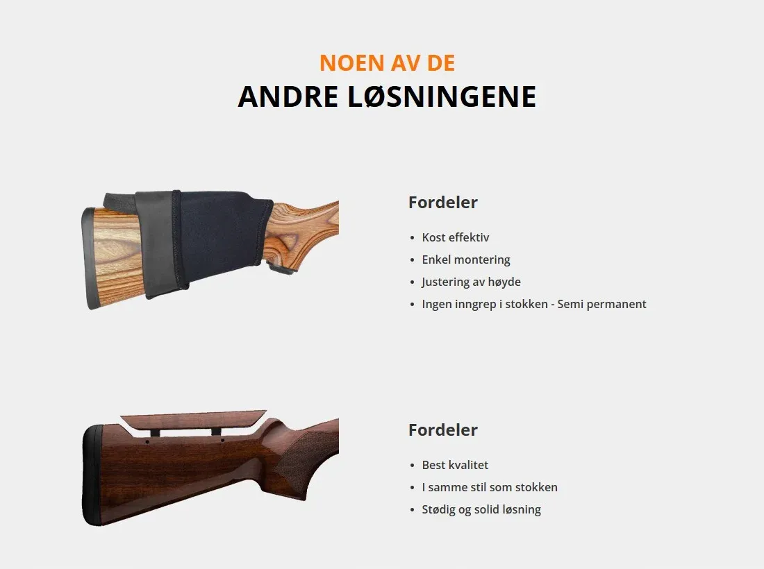 De to alternative løsningene og hva de gjør bra